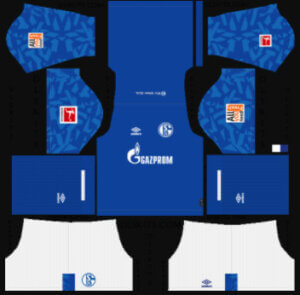 Schalke 04 DLS Home Kit