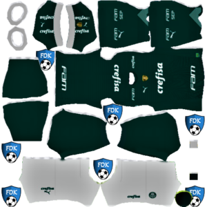 Palmeiras Home Kit 